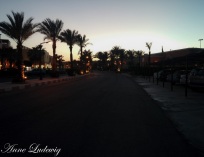 20150401_181914.jpg