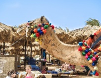 SAMSUNG CAMERA PICTURES