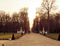 SAMSUNG CAMERA PICTURES