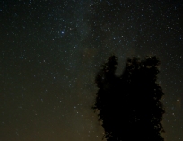 stacked_gimp-