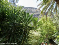 Palmitos Park