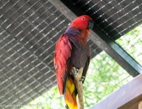 Palmitos Park