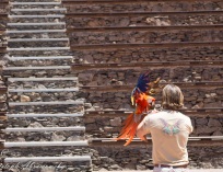Picture-167