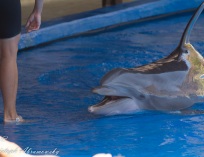 Picture-172
