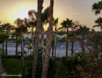 Picture-251