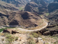 Picture-56