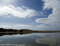 La Charca (Der Teich)