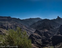 Picture-63