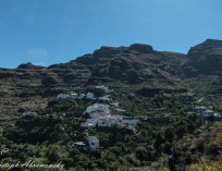 Picture-67