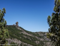 Roque Nublo