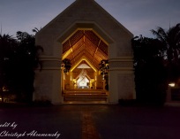Picture-003