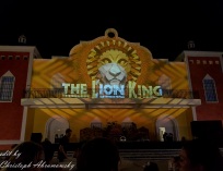 Picture-004