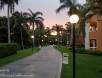 Picture-009