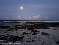 Picture-013