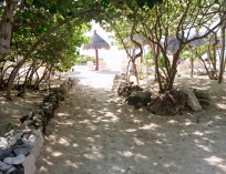 Picture-015