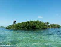Picture-046