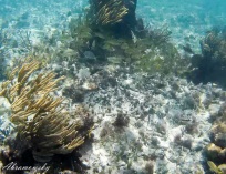 Picture-056