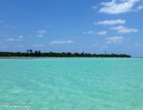 Picture-063
