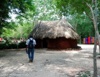 Picture-084