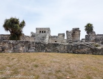 Picture-094
