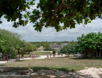 Picture-102
