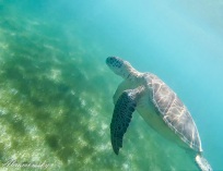 Picture-111