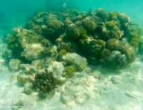 Picture-112