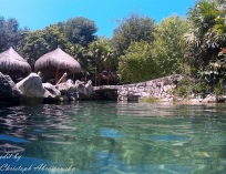 Picture-115