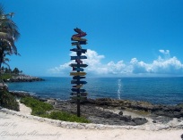 Picture-116