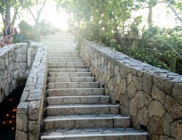 Picture-118