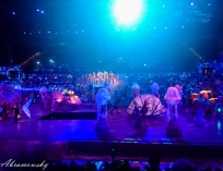 Picture-129
